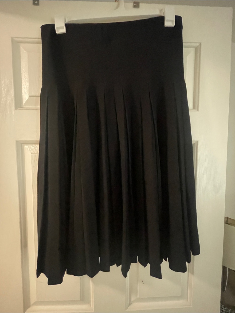 Aleexza Paris—Charlotte Black Pleated Midi Skirt - Women